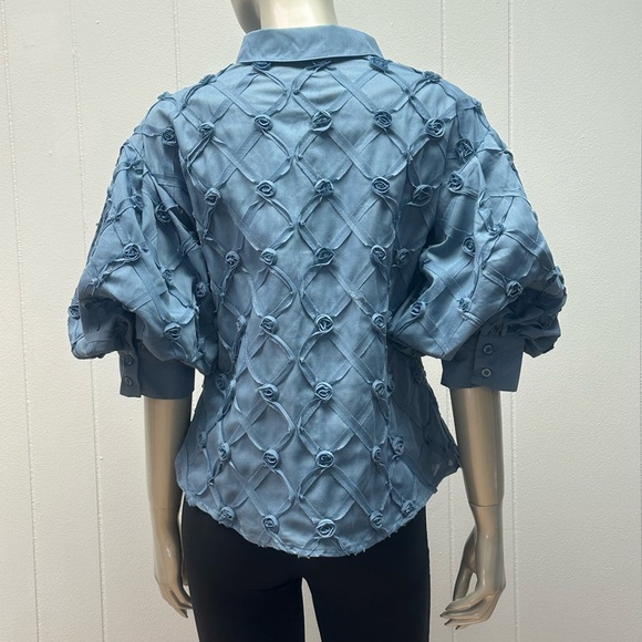 Rose Bud Blue Puff Sleeves Pointed Collar Button Down Blouse - Picture 6 of 7